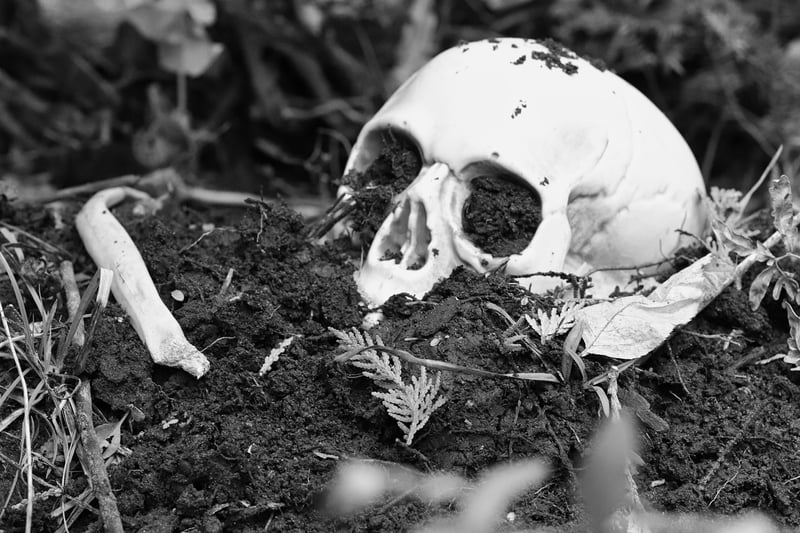Buried Riches